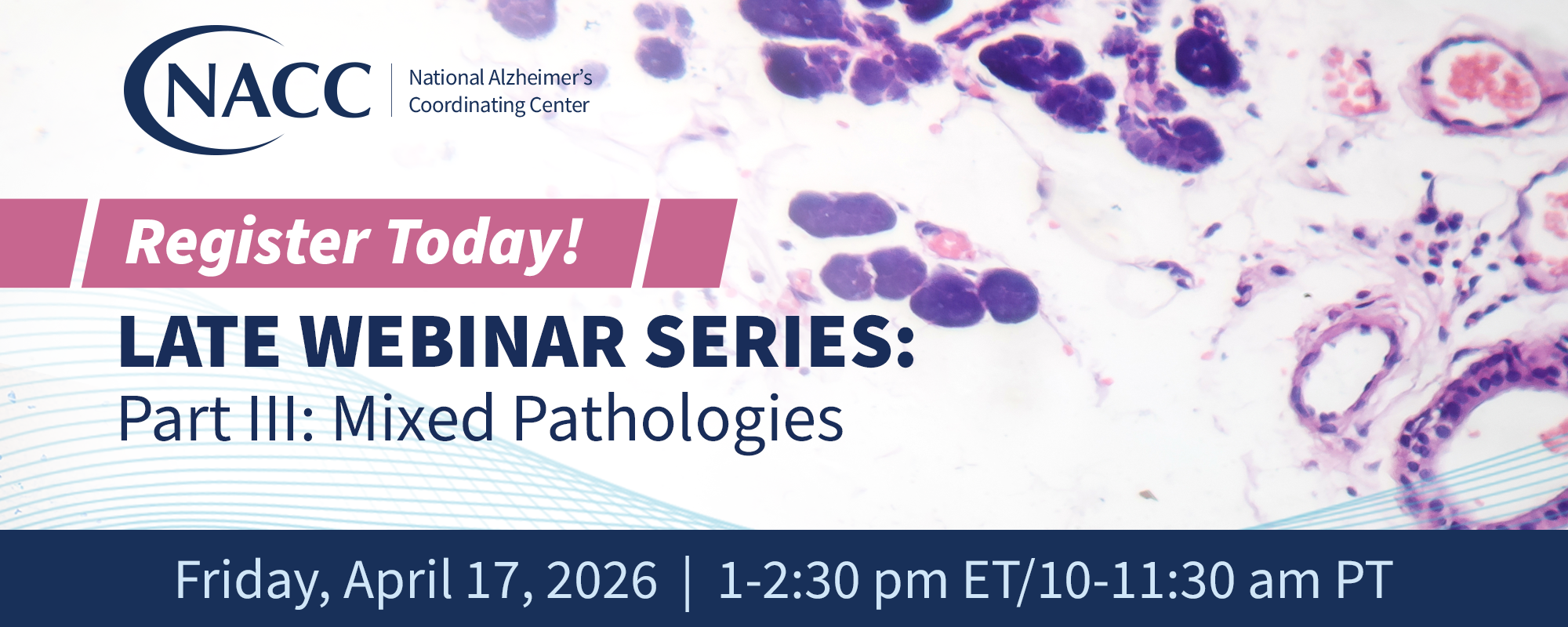 late webinar series, part 3: mixed pathologies webinar image late webinar series, part 3: mixed pathologies webinar image